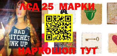 индика Гагарин